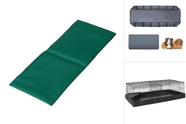 Detailed view of Best Canvas Bottom Guinea Pig Supplies