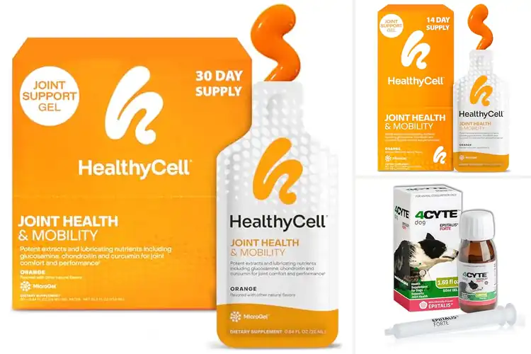 Detailed view of Best Cartilage Gels: Top Picks for Joint Health Support