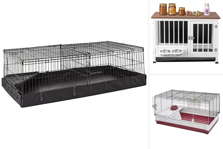 Detailed view of Best Easy Clean Pet Cages