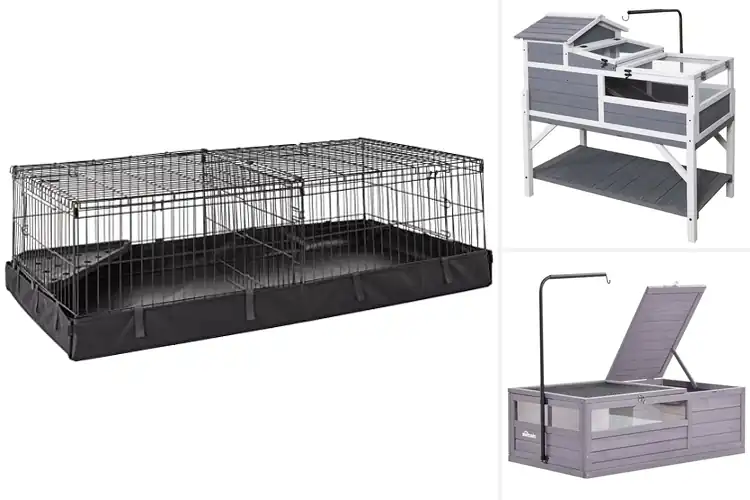 Detailed view of Best Indoor Outdoor Small Animal Habitats