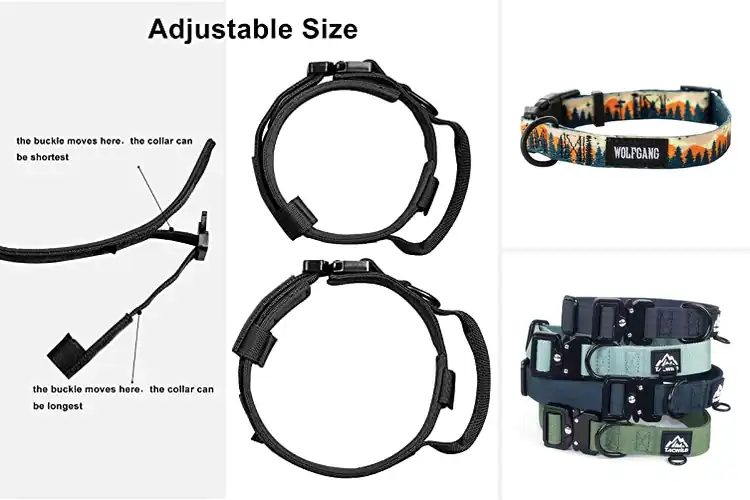 Detailed view of Best Outdoor Dog Collars