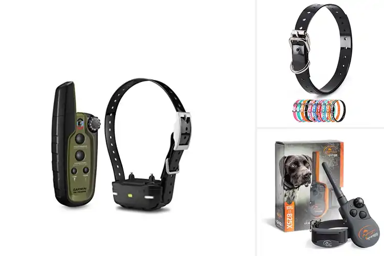 Detailed view of Best Sporting Goods Dog Collars for Smarter Training